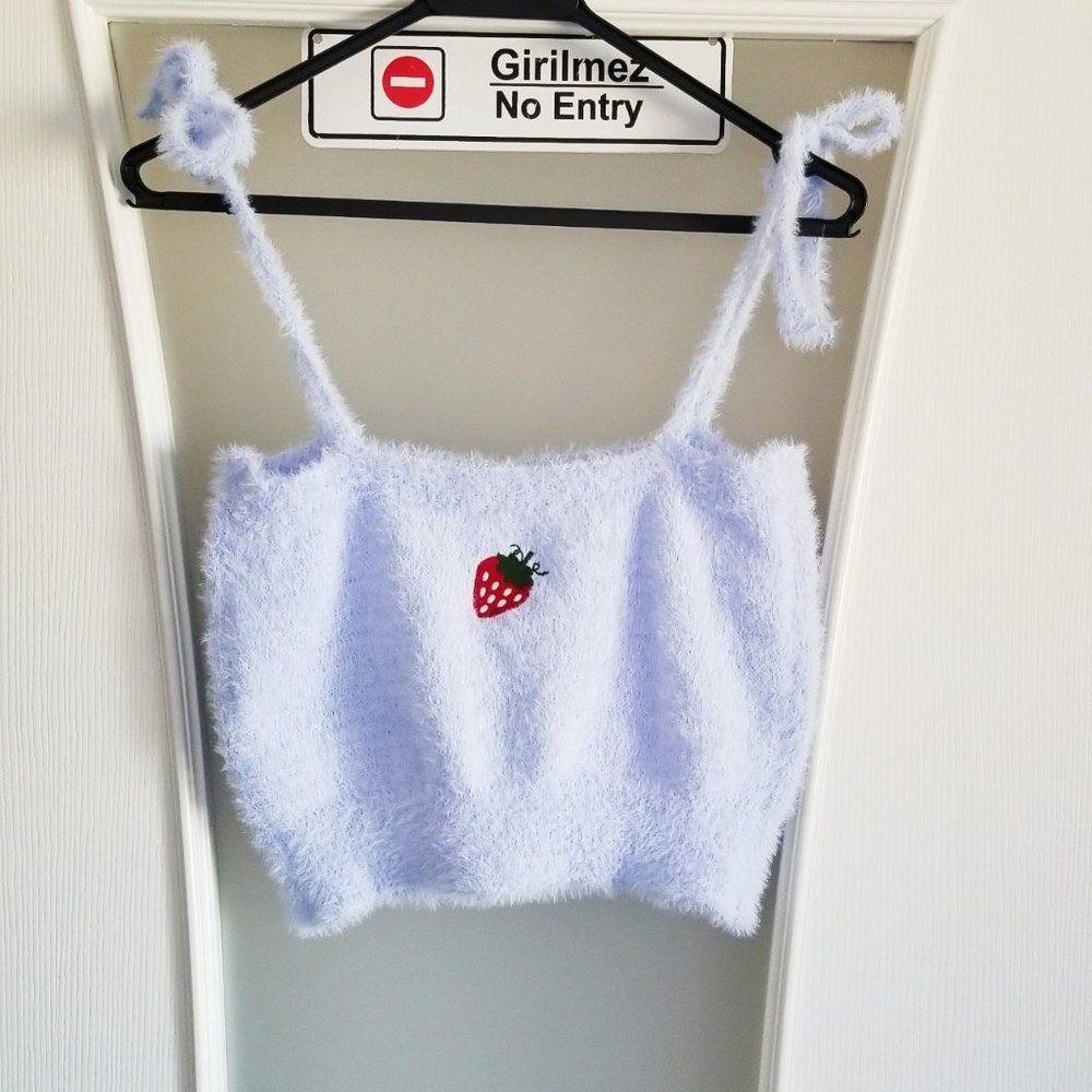 🍓Strawberry Embroidery Light Blue Cropped Top